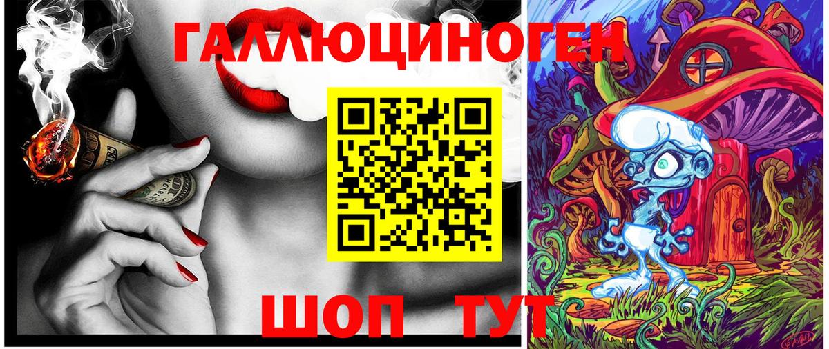 Псилоцибиновые грибы Psilocybe Махачкала
