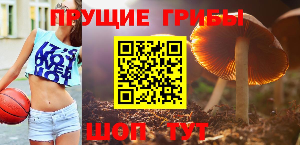 Галлюциногенные грибы мухоморы  Галлюциногенные грибы Psilocybine cubensis  Вход с VPN  Махачкала 